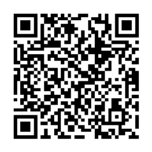 是敏之的亲哥哥陆谨行……刘芳华一下子站了起来二维码生成