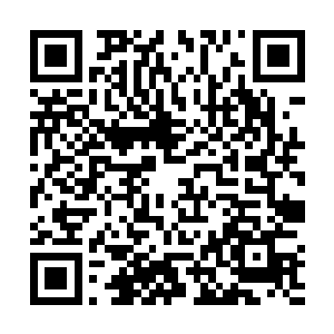 是教宗大人与圣后娘娘之间友谊的见证以及力量的展现二维码生成