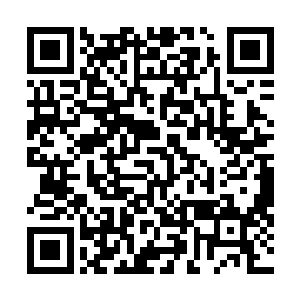 是数千年来仙宫中精神力最强大的专家学者们的神魂结晶二维码生成