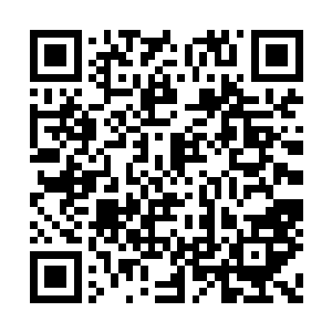 是整个棋盘凝聚出的最强大人物施展出来的招数二维码生成