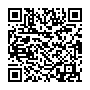 是新人类的板块和正义之都的板块连接在一起了二维码生成