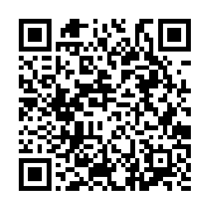 是最近这三百万年之中真正崛起的一个顶尖大家族二维码生成