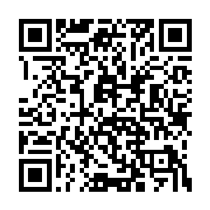 是本体的师尊归一大神从万丈星渊里偶然得到的二维码生成