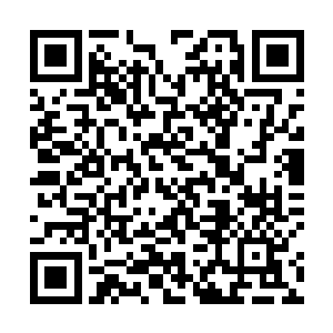 是某种异族文明或者随便什么稀奇古怪的东西都不重要二维码生成