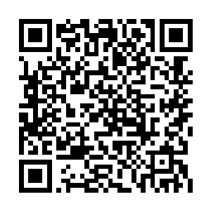 是根本不允许其他势力的人来跟他们分抢宝物的二维码生成