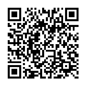 是楚暮最近不断与凶兽战斗新创出来的四品剑技二维码生成