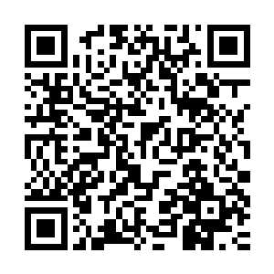 是正面和将家抗衡的方炎――做为一个才刚刚成年不久的成年人二维码生成
