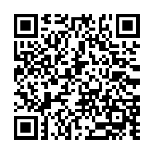 是每个接近傀儡五十米区域范围内的修士受到攻击二维码生成