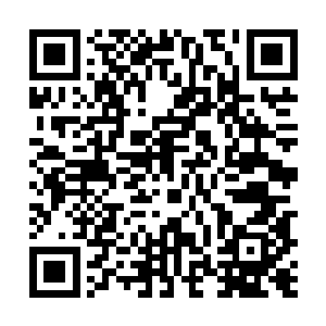 是水须水母迅速攻击他两次后就莫名其妙的停下的时候么~二维码生成