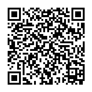 是池早早……这上面的人是池早早……那个和她有着七分神似的女人……二维码生成