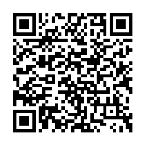 是沈千寻在上次五皇子的生辰宴中旁敲侧击而来二维码生成