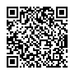 是没办法在即将到来的大灾变中更好的保护自己身边的人二维码生成
