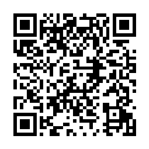 是没有办法轻而易举的抓走神圣联盟的八个圣者的二维码生成