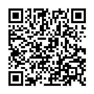 是涉及到孩子的普及性大型活动并不是那么的多二维码生成