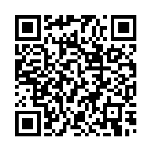 是混沌紫莲的一颗种子孕育而成的二维码生成