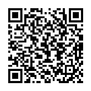 是清朝顺治皇帝到嘉庆皇帝之间五位帝王在位时打造的钱币二维码生成
