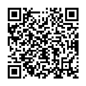 是烟花之地的风尘女子时常会买的东西……没想到晏家四小姐二维码生成