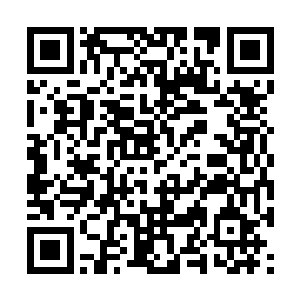 是王枫委托美国商人从大洋彼岸的智利以重金购入二维码生成