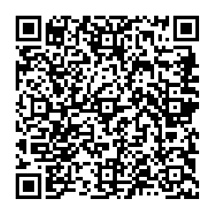 是用的玛雅射线和阿尔法射线碰撞发生的物质风暴……也只有这种情况才能造成如此大的破坏力了二维码生成