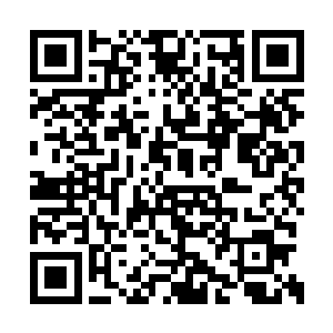 是由同一个母星上同一种碳基智慧生命发展而来二维码生成