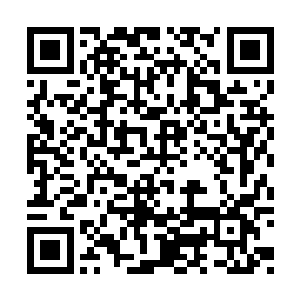 是由闻府老太爷和大房夫妻双双决定下来的事情二维码生成