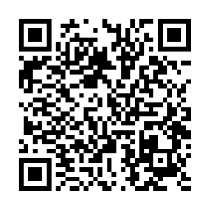 是真正嘉奖了好莱坞创新精神和娱乐业内人士的自嘲之外二维码生成