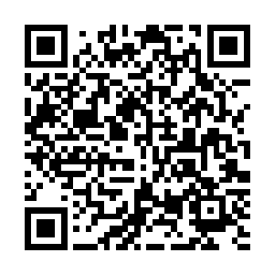 是真的想要让面前这个可爱的美丽的女孩子不要那么紧张的二维码生成