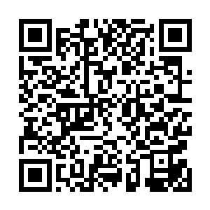 是秦将军后队的旗号……实际那些部落兵都已被叶青清剿二维码生成