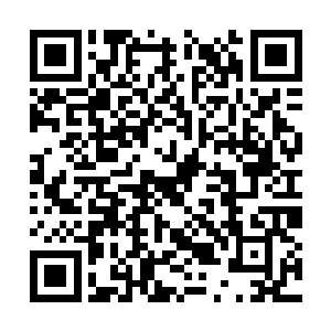 是穆昂抱着羊水提前破了的灿灿一路跑到了医院里二维码生成