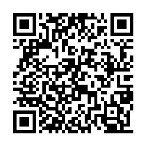 是第一个发现这里的一位天宫的寿元将尽的至尊二维码生成