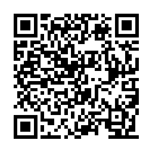 是第一个让她感受到自己是如此渺小的费南强者二维码生成