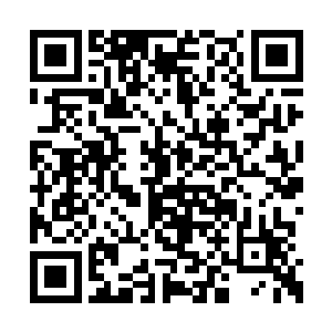 是第一家族老祖从空间主宰那里用大代价购买的二维码生成