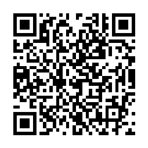 是等到他们修为达到万古七重天初期之后才开始修炼的二维码生成