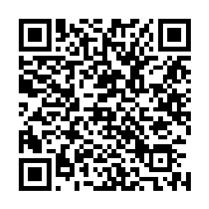 是精心剪辑的两个情侣经历很多分分合合终于结婚了的故事二维码生成