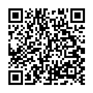 是紫雨宫吴仁礼神帝的千金吴雅姿小姐的侍卫总队长二维码生成