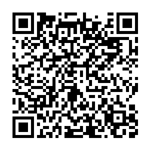 是经过专业的壁炉专家进行设计和专业的工人进行施工后才能够使用的二维码生成