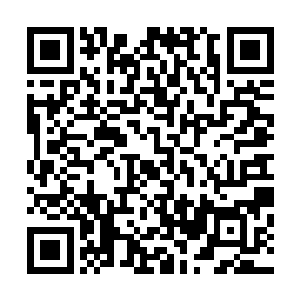 是经过联邦最精密最高级的医疗仪器扫描后给出的确切答案二维码生成