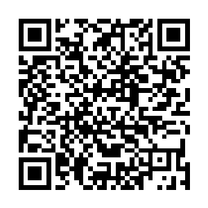 是联合国维和部队派来围剿我的大部队中仅存的一个俘虏二维码生成
