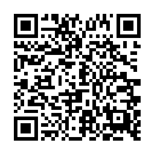 是能够主动散发出灵气让后天大圆满武者领悟感受的二维码生成