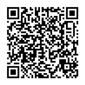是自己被魔族骑士追杀时穆雷长老赶来救自己时的那一声愤怒急切的长啸……二维码生成