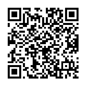 是艾莎发现这颗星球上的气息与自己修炼的功法非常贴合之后二维码生成