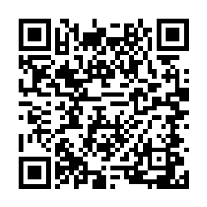 是苏总的私人保镖转到我们人力资源部的夏云杰啊二维码生成