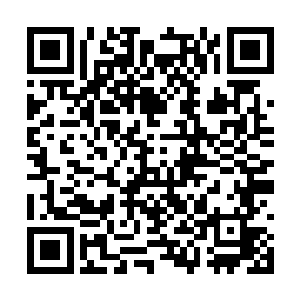 是要保障治下的每个公民享有公平合法的法律权益二维码生成