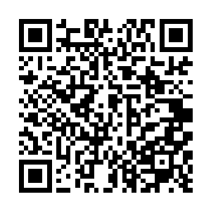 是要让这七朵小花组成的明月正好长在正中央的位置二维码生成