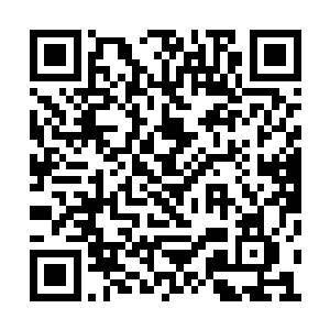 是要跟东坪徐韶的兄弟商量一下怎么对付方楚寒二维码生成