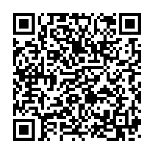 是谁大半夜的电闪雷鸣暴风雨连命都不要了跑去桥洞地下救你出来的二维码生成