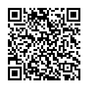 是赵峰从玄武阁得到的四招圣品残式里最容易的一式二维码生成