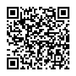 是身穿红衣的刽子手像拖死狗一样把他拖到刑场的二维码生成