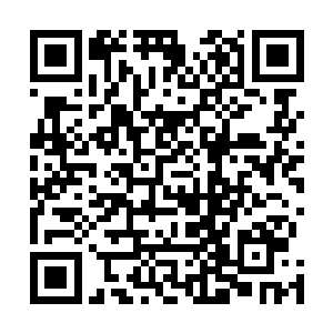 是这款系统似乎能自主判断出用户在开启软件执行任务时二维码生成