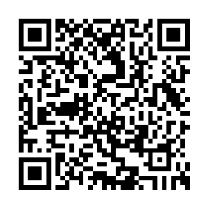 是这趟航班之中最漂亮最可爱最诱人的空中小姐二维码生成